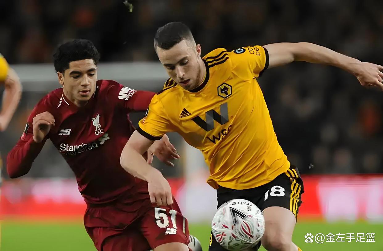 欧篮联今日预测-九游体育