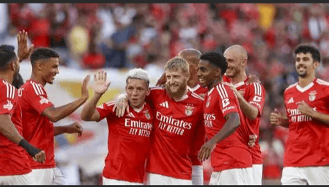 赛地聚焦——NBA总决赛集结日热度飙升，本菲卡防线松动，信心回归，纪律约束更严格的简单介绍-九游网页版